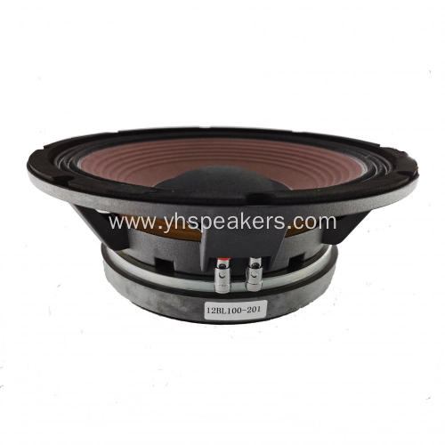 High Power 600 Watts 12" Pro Audio Speaker